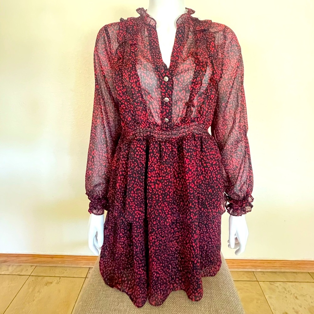 Zara Ruffle semi sheer dress